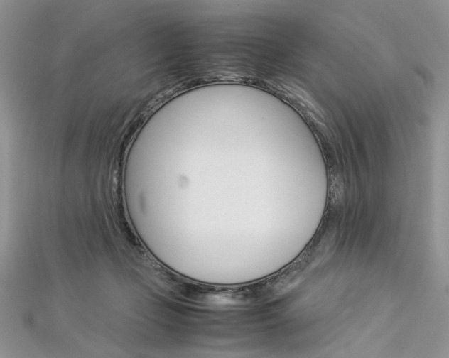 X0000113070365200908281015