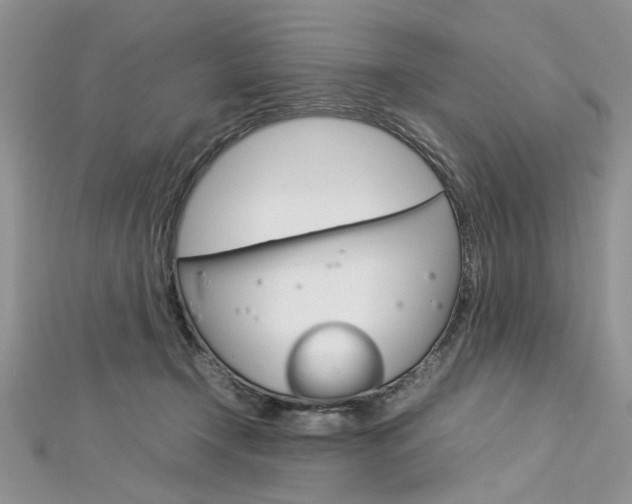 X0000113070366200908281015