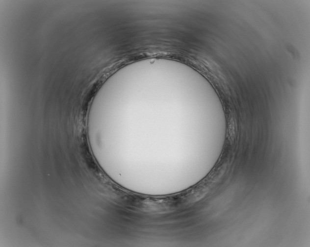 X0000113070367200908281015