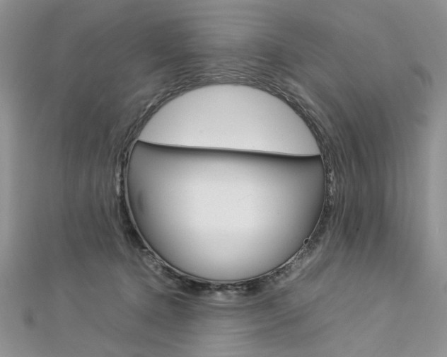 X0000113070368200908281015
