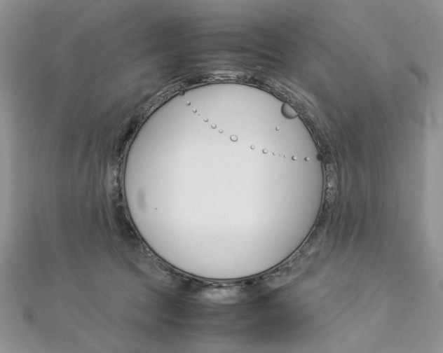 X0000113070369200908281015
