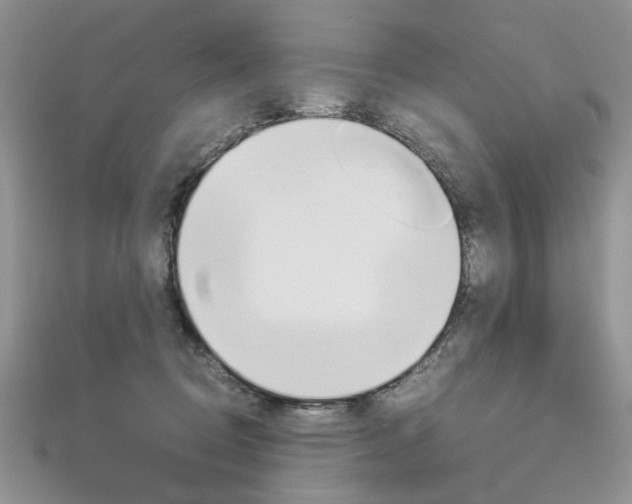 X0000113070370200908281015