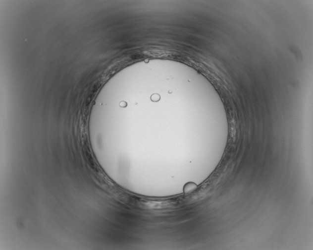 X0000113070371200908281015