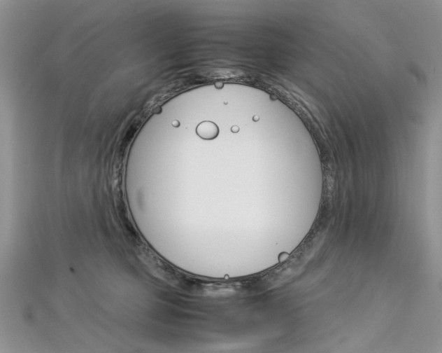 X0000113070373200908281015