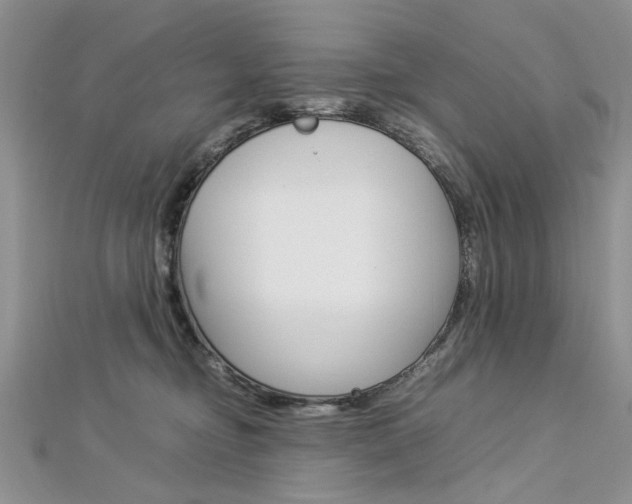 X0000113070374200908281015