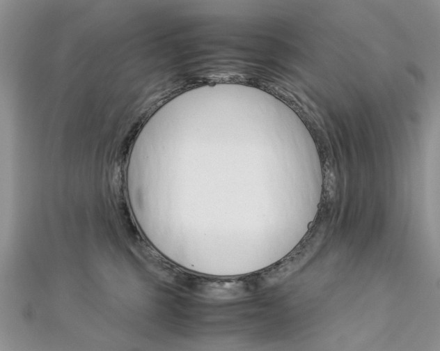 X0000113070375200908281015