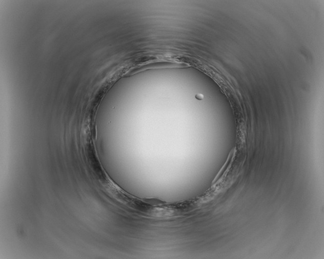 X0000113070376200908281015