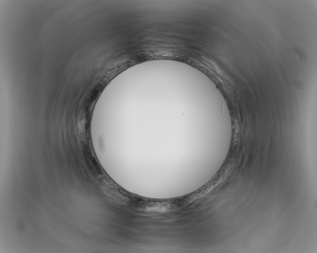 X0000113070377200908281015