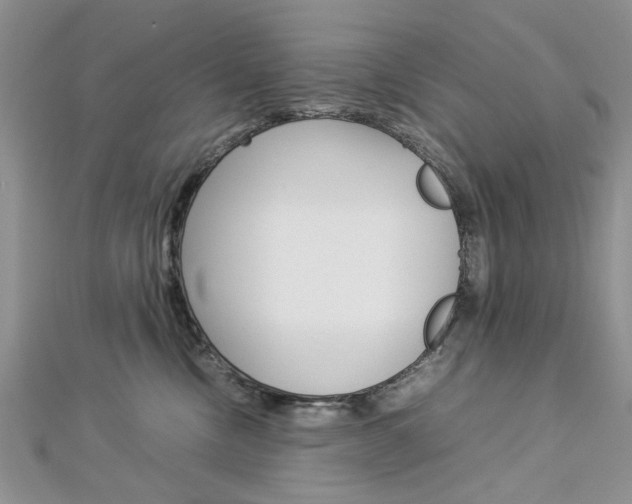 X0000113070378200908281015