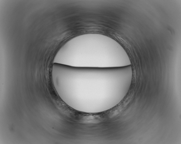 X0000113070379200908281015