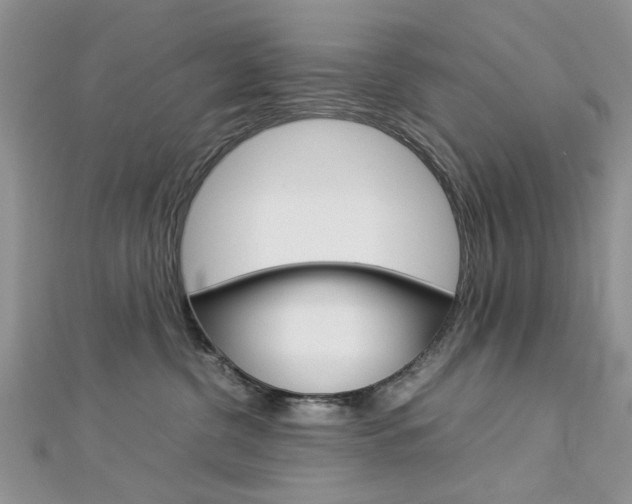 X0000113070380200908281015