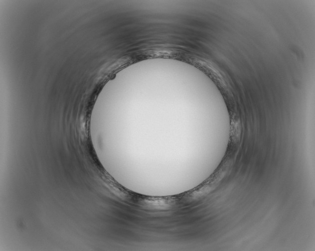 X0000113070381200908281015