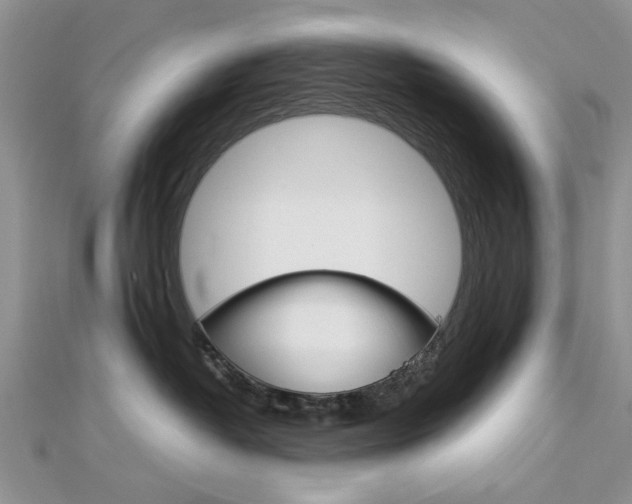 X0000113070382200908281015