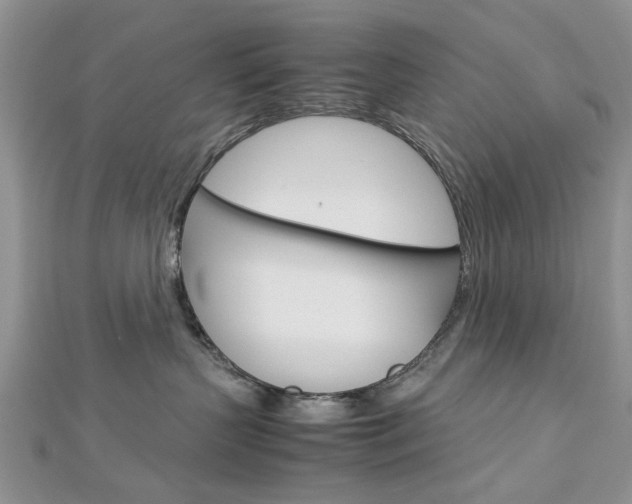 X0000113070383200908281015