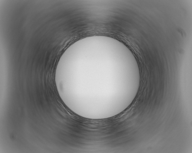 X0000113070384200908281015
