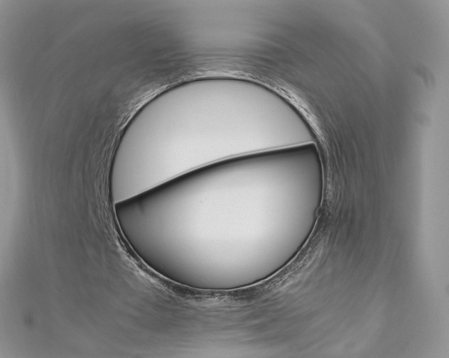 X0000113070385200908281015