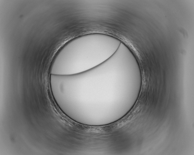 X0000113070386200908281015