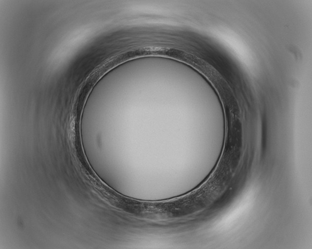 X0000113070387200908281015