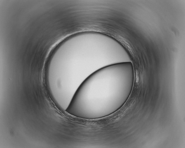 X0000113070388200908281015