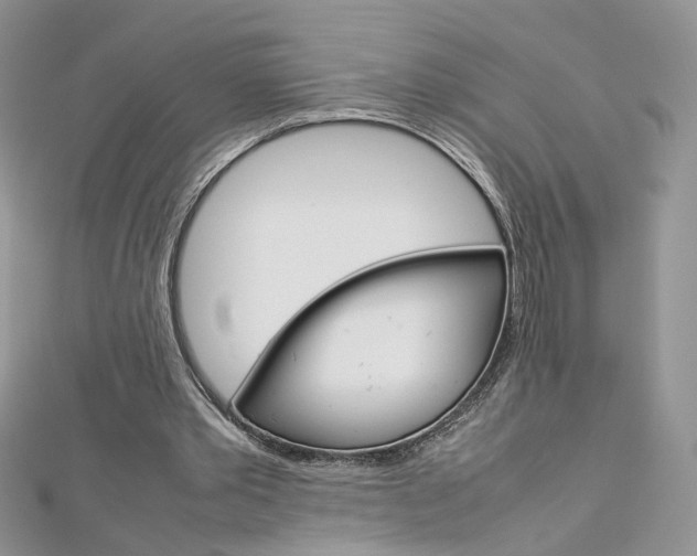 X0000113070389200908281015