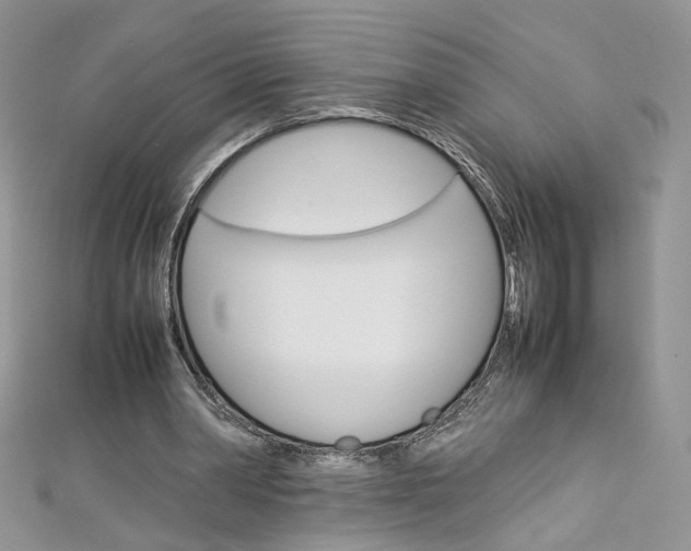 X0000113070390200908281015