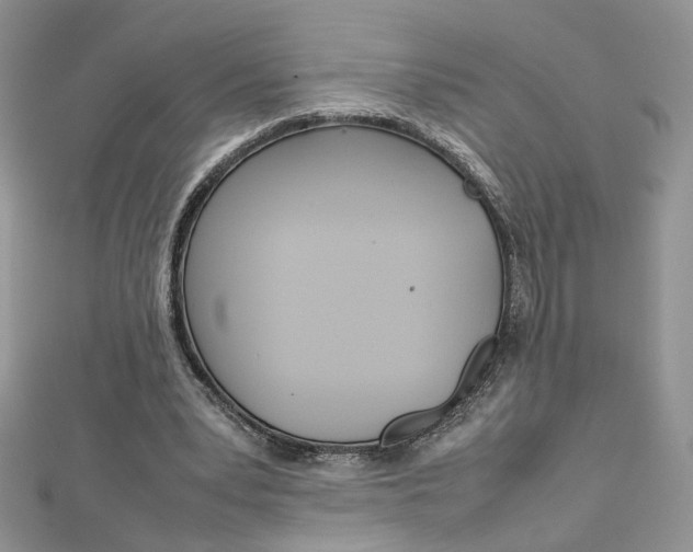 X0000113070391200908281015