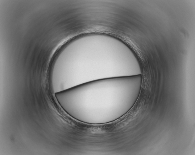 X0000113070392200908281015