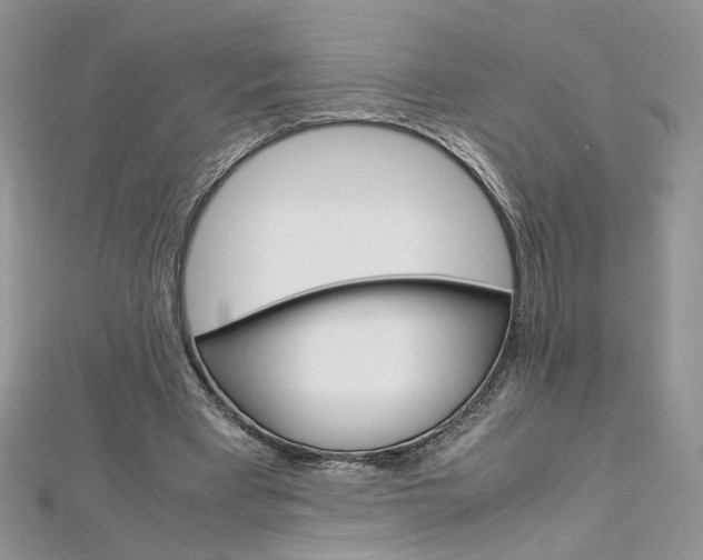 X0000113070393200908281015