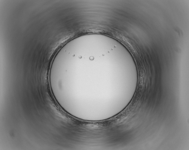 X0000113070394200908281015