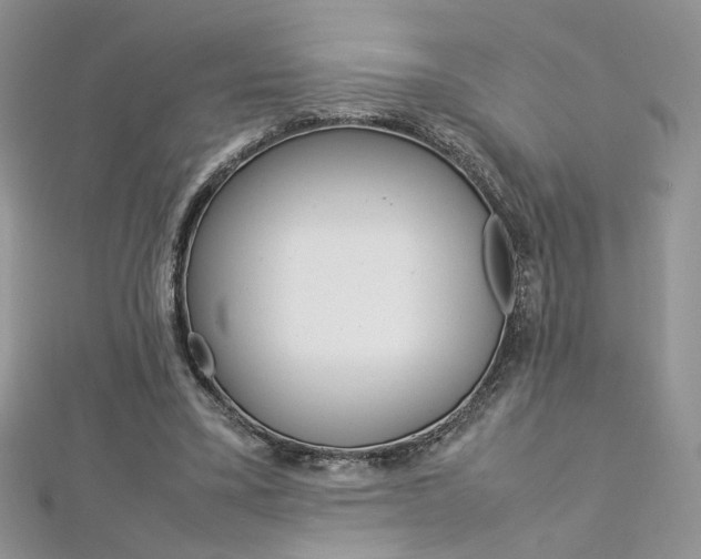 X0000113070395200908281015