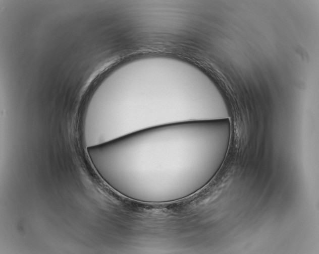 X0000113070396200908281015