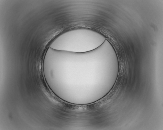 X0000113070398200908281015