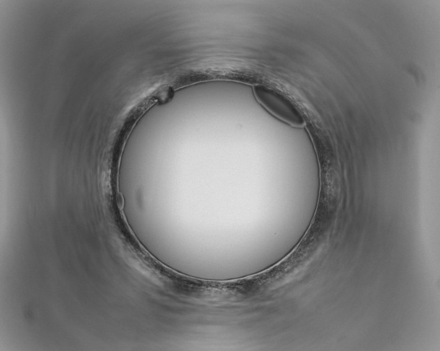 X0000113070399200908281015
