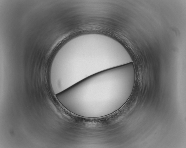 X0000113070400200908281015