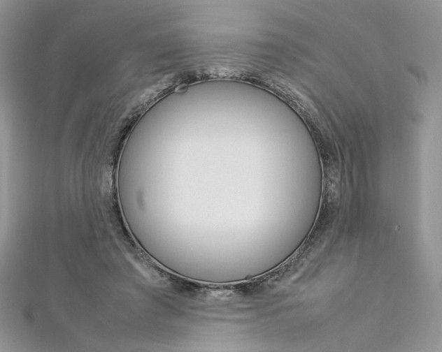 X0000113070401200908281015