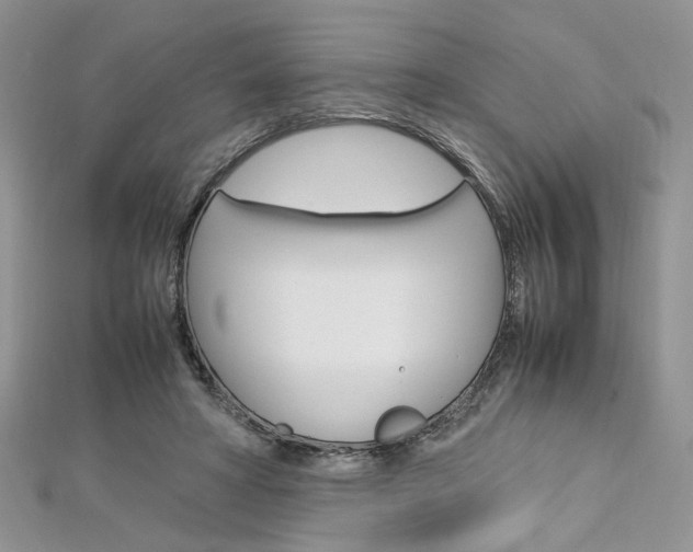 X0000113070402200908281015
