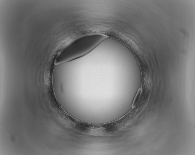 X0000113070403200908281015