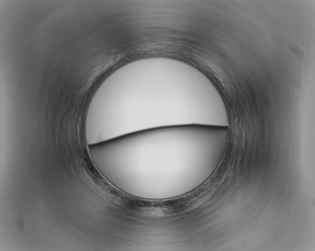 X0000113070404200908281015