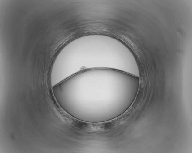 X0000113070405200908281015