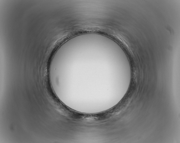 X0000113070407200908281015