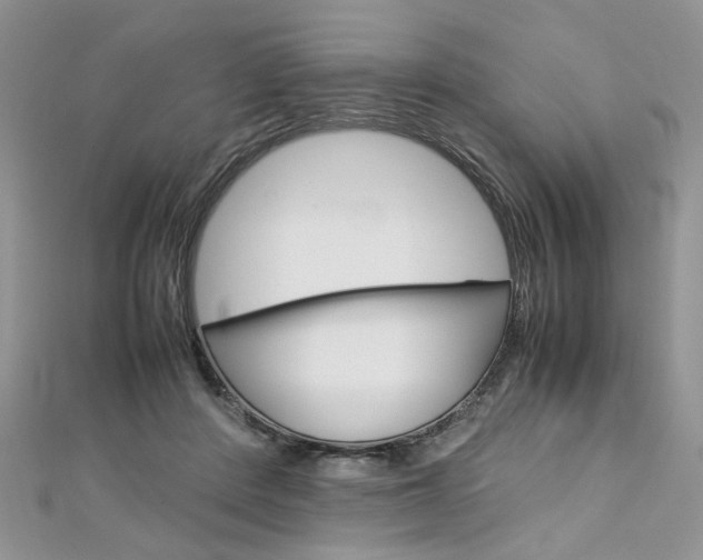 X0000113070408200908281015