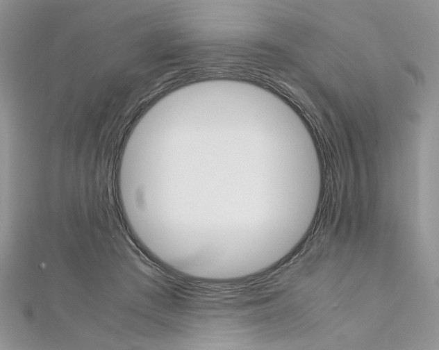 X0000113070409200908281015