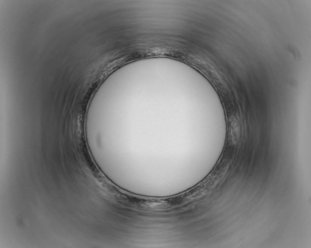 X0000113070410200908281014
