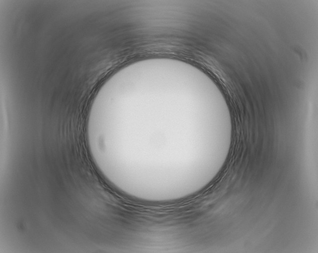 X0000113070411200908281014