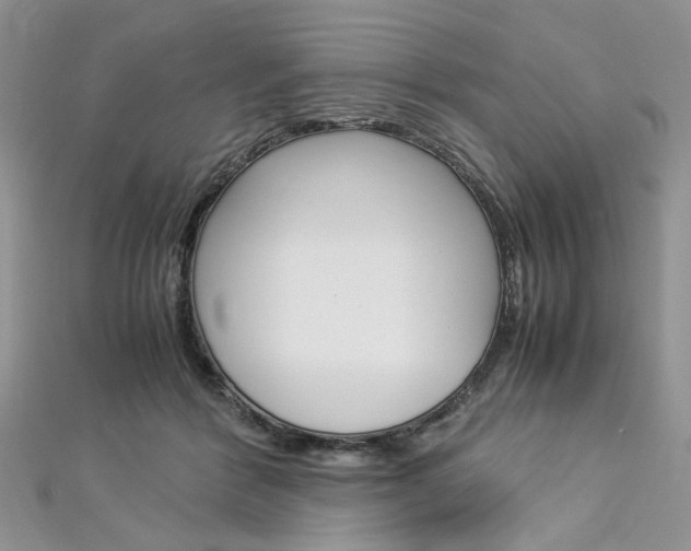 X0000113070412200908281014