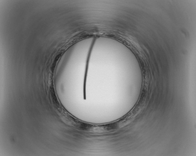 X0000113070413200908281014