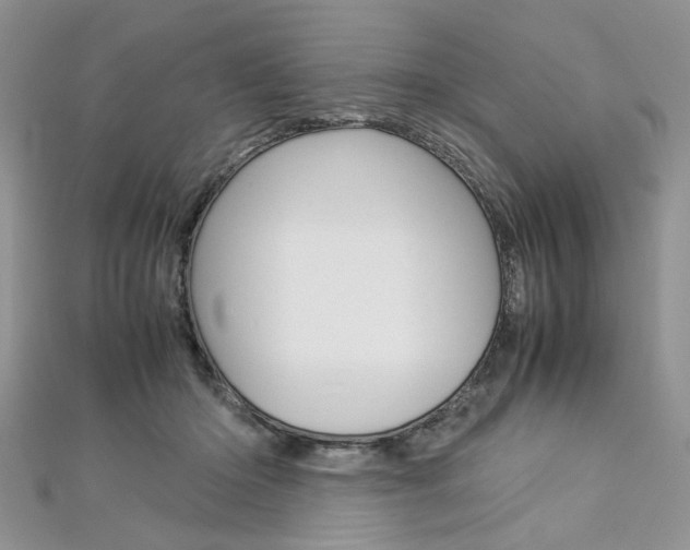 X0000113070414200908281014