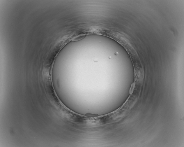 X0000113070415200908281014