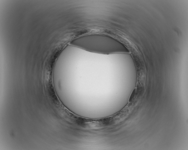 X0000113070417200908281014