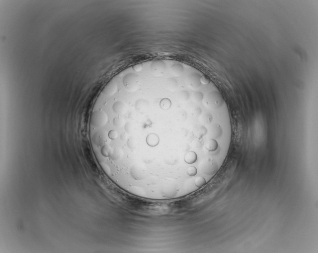 X0000113070418200908281014